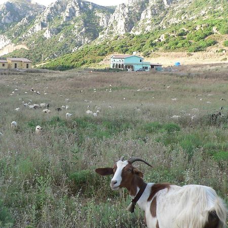 Agriturismo Sa Rocca Iglesias Exteriér fotografie