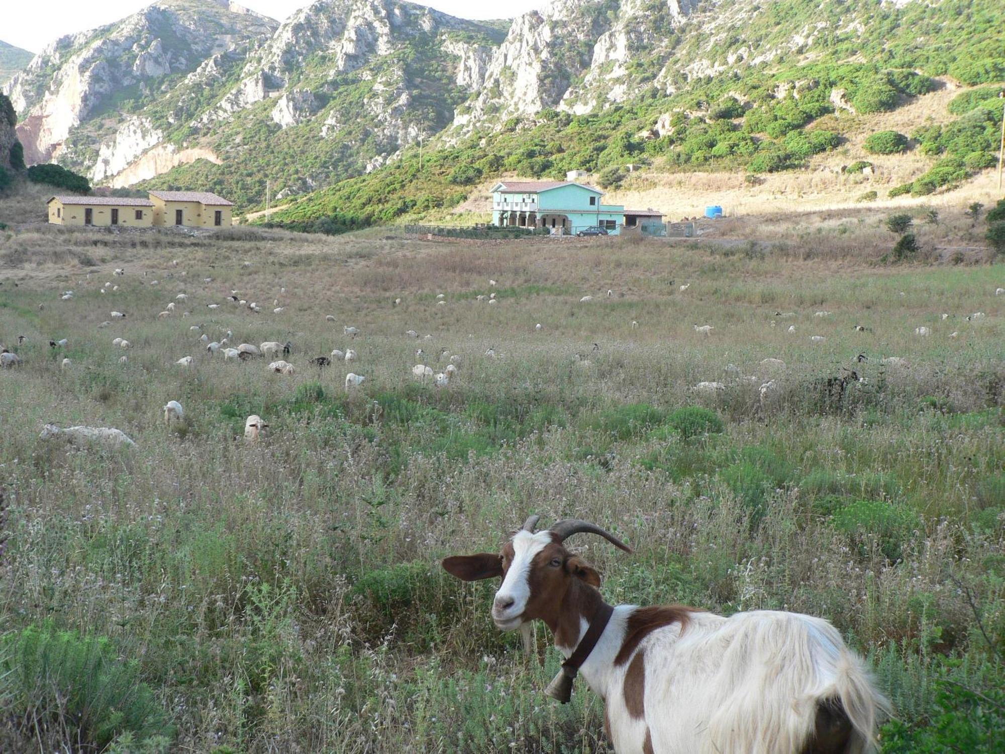 Agriturismo Sa Rocca Iglesias Exteriér fotografie
