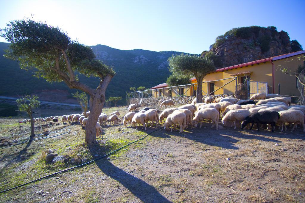 Agriturismo Sa Rocca Iglesias Exteriér fotografie