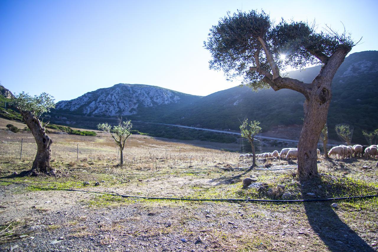 Agriturismo Sa Rocca Iglesias Exteriér fotografie